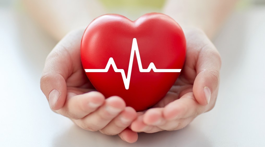 3 Ways Physical Therapy Plays a Key Role in Heart Health